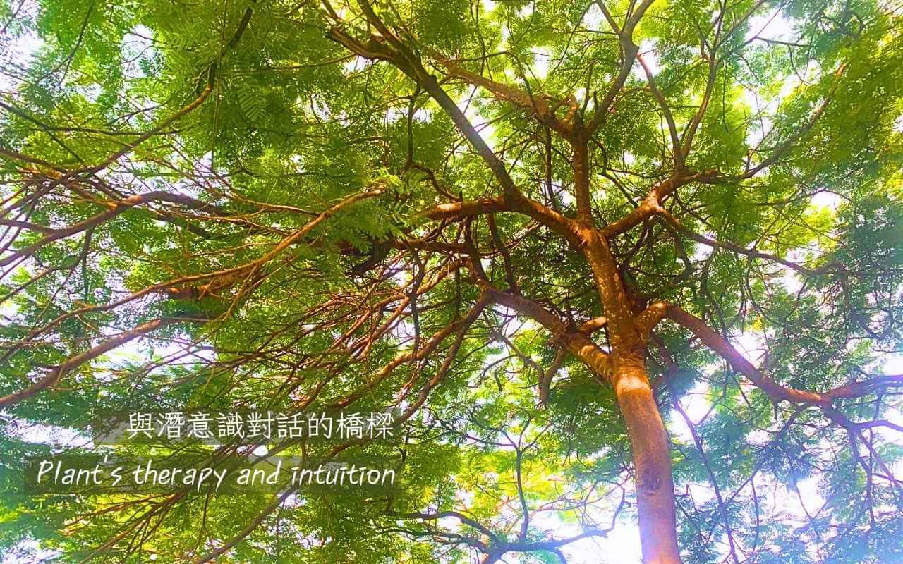 身心靈、心裡療癒身心靈